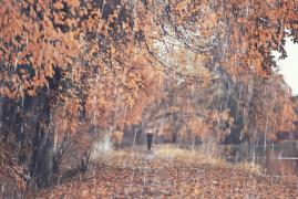 Vremea 12 octombrie. Frigul şi ploile vor pune stăpânire pe întreaga ţară. Minime şi de 2 grade