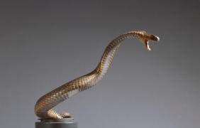 Un indian care şi-a ucis soţia cu o cobră a primit nu una, ci două condamnări pe viaţă şi o amendă de aproape 6.000€