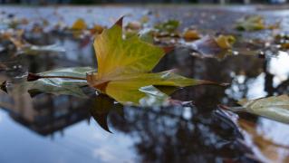 Vremea 15 octombrie. Temperaturi extrem de scăzute pentru această perioadă. Ploi în cea mai mare parte a ţării