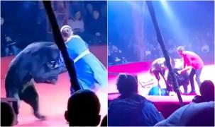 Imagini de la faţa locului