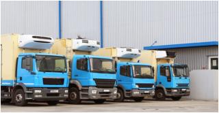 Camioanele erau încărcate cu soia modificată genetic