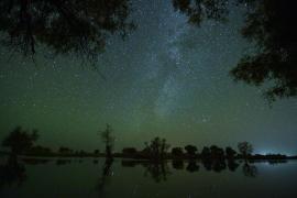 Orionidele, ploaie de stele căzătoare pe 21 octombrie