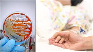 Bacterie ucigaşă, descoperită într-un spray de cameră, comercializat într-un supermarket din SUA. Două persoane au murit, între care un copil