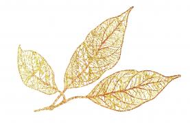 (P) Trăsăturile unei femei născute toamna