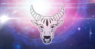 Horoscop noiembrie 2021 Taur. Probleme de sănătate neprevăzute