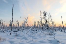 Un bărbat a apărut la 2 săptămâni după ce fusese declarat mort. Omul dispăruse din luna august, în Siberia