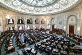 Senatul a adoptat OUG 95/2021 privind Programul "Anghel Saligny". PSD a votat alături de PNL și UDMR