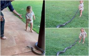 Un copil de 2 ani a fost filmat în timp ce trăgea un piton de coadă, sub privirile tatălui, în Australia