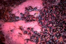 O femeie a murit, iar un bărbat a fost dus la spital, după ce ambii au intrat în beciul unde ţineau fructe la fermentat