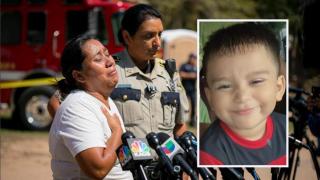 Băiețel de 3 ani dispărut în pădure, găsit după 4 zile de căutări, în SUA. În ce stare era copilul