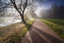 Vremea 13 noiembrie. Temperaturile sunt în uşoară creştere. Maxime şi de 15 grade