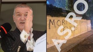 gardul reședinței lui Gigi Becali a fost vandalizat