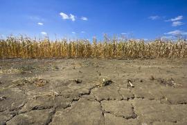 Fenomen meteo extrem în România. Sunt zone unde nu a mai plouat de două luni 