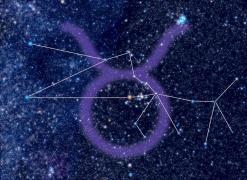 Horoscop săptămâna 22 noiembrie - 28 noiembrie 2021 pentru zodia Taur