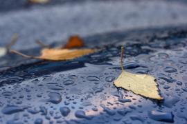 Vremea 24 noiembrie. Ploile vor fi prezente în aproape toată ţara, minime şi de - 7 grade