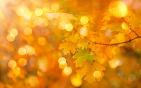 Vremea 25 noiembrie. Temperaturi normale pentru această perioadă. Minimele ajung şi la - 7 grade