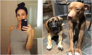 O femeie a sângerat până la moarte după ce a fost sfâșiată de câinii ei