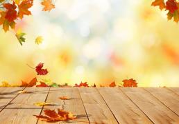 Vremea 27 noiembrie. Temperaturile sunt în uşoară creştere, iar temperaturile maxime pot ajunge şi la 17 grade