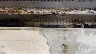 Magazinele amendate de ANPC au revenit la vechile probleme. "Este inadmisibil"