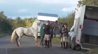 Un videoclip în care o femeie loveşte cu cruzime un cal a stârnit indignare în Marea Britanie