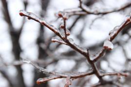 Vremea 16 decembrie. Temperaturile vor fi în scădere, iar precipitaţiile vor fi predominante în întreaga ţară. Minime şi de - 2 grade