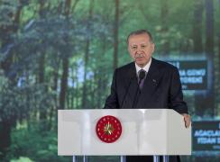 Recep Tayyip Erdogan, preşedintele Turciei, în timpul unui discurs