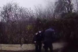 Femeie atacată pe stradă de doi câini din rasa Amstaff în timp ce-și plimba cățelul în Arad