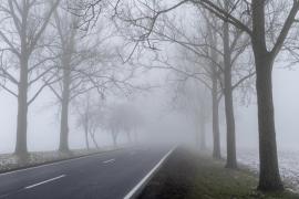 Alertă meteo de vreme severă imediată. Mai multe județe, sub cod galben de polei