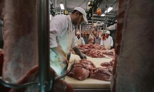 Românii tratați ca sclavii în continuare în abatoarele miliardarului Tönnies: Muncesc în sânge până la glezne, nu au voie la toaletă