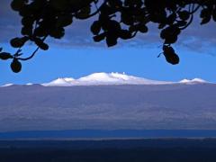 Prima zăpadă în Hawaii după trei ani şi jumătate