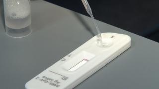 Haos în şcoli: testele de salivă, insuficiente pentru săptămâna viitoare. Consiliul Naţional al Elevilor reclamă "inconsecvenţa în măsuri"