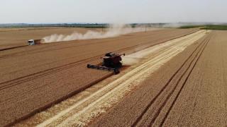 Paradoxul agriculturii româneşti. Exporturi record la preţuri minime, în "cel mai bun an din istorie"