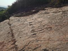 Imagine ilustrativă