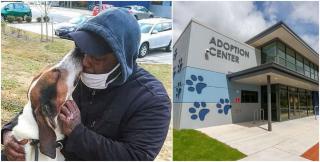 Omul a fost nevoit să stea departe de patrupedul iubit, după ce a ajuns în comă, în urma unei explozii