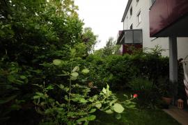 Un mort a fost uitat de autorităţi în apartamentul său din Viena, timp de două luni şi jumătate