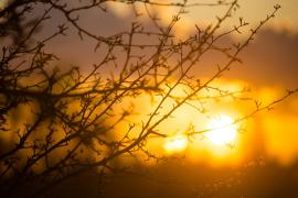 vreme frumoasă pe final de februarie