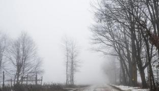 Ceaţă densă în mai multe judeţe, în următoarele ore