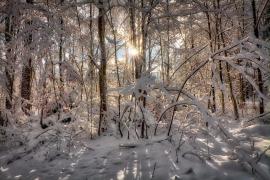 Vremea 6 februarie. Temperaturi ridicate pentru această perioadă. Cum arată prognoza meteo pentru Capitală şi ţară