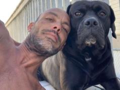 Un câine s-a întors acasă după o săptămână de la un accident de mașină care i-a ucis stăpânul