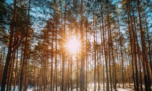 prognoza meteo 10 februarie