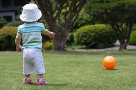 Incidentul a avut loc în Irlanda