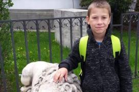 Ionuț Gabriel Stroescu