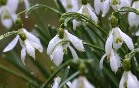 Vremea 16 martie. Precipitații în cea mai mare parte a țării, temperaturile sunt în scădere