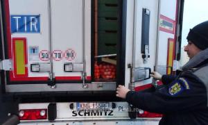 Migranţii prinşi la intrarea în România plătiseră câte 2.000 de euro pentru a ajunge în Germania