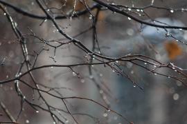 vreme rece în România