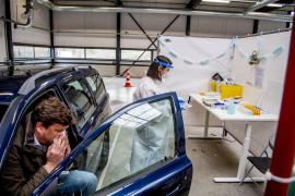 Tulpina britanică a acaparat România. Studiu Medlife: Prevalența ei a ajuns la 94%, a crescut de 8 ori în ultimele 2 luni