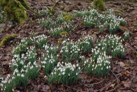 Vremea 3 martie. Temperaturi în creştere peste normalul perioadei. Prognoza meteo pentru Capitală