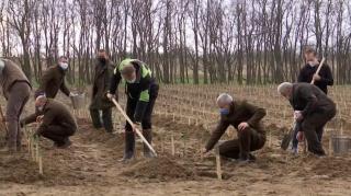 Imagini cu Iohannis plantând copaci la Dăbuleni: "Iubesc natura, îmi doresc o natură sănătoasă pentru România"