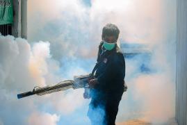 Alertă în Peru din cauza creşterii cu 34% a cazurilor de Febră Dengue, faţă de aceeaşi perioadă a anului trecut