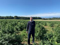 (P)Slabeste rapid cu ajutorul uleiului CBD